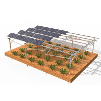 Agricultural Solar Mounting System_Ground Screw